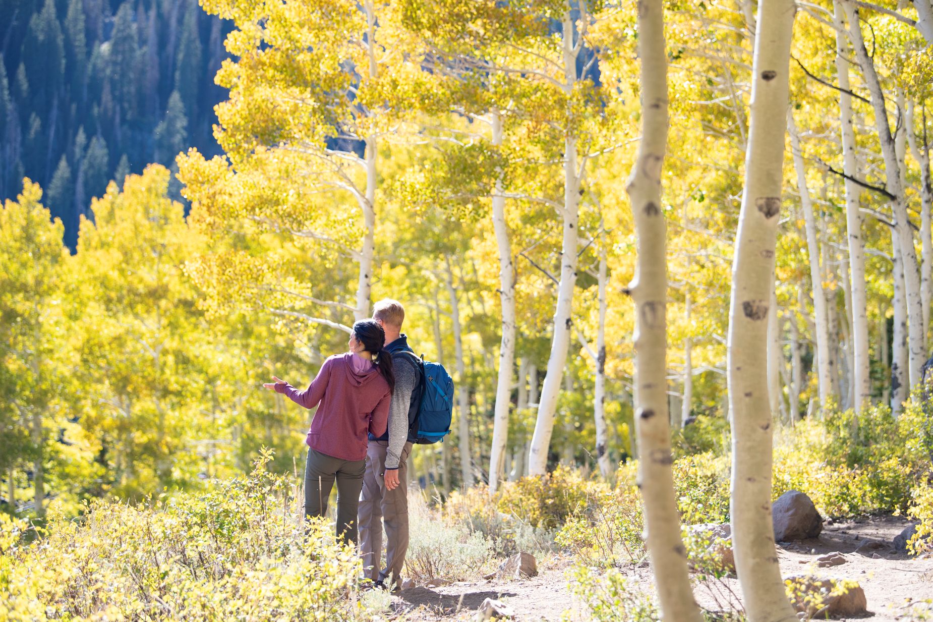 Five hikes in Park City with the most beautiful views of nature